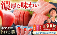 【12月中にお届け】対馬産 本マグロ 詰め合わせ 《 対馬市 》【 桐谷商店 】 [WAQ003-12]