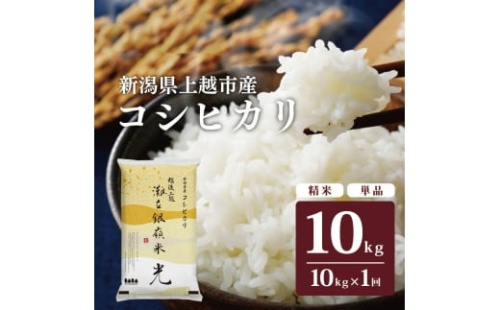 令和7年産 先行予約 新潟県上越市名立区産 コシヒカリ 棚田米 「灘立銀嶺米 光」  10kg 上越市 精米 米 コメ ブランド米 2276556 - 新潟県上越市