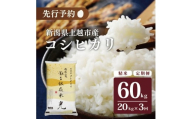 令和7年産 先行予約 新潟県上越市名立区産 コシヒカリ 棚田米 「灘立銀嶺米 光」  20kg 3か月定期便 上越市 精米 米 コメ ブランド米