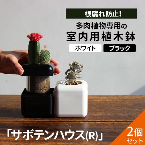 【2個セット ブラック・ホワイト】根腐れ防止！多肉植物専用の室内用植木鉢「サボテンハウス(R)」　かわいいキューブ型植木鉢　日用品　贈答品　プレゼント　ギフト _GD03 2276614 - 茨城県古河市