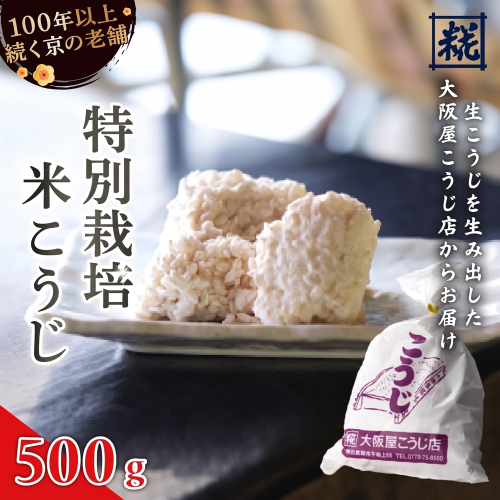 特別栽培米 生こうじ 500g ： 生こうじ 米麹 麹 こうじ 生麹 手作り 塩麹 味噌 糀味噌 こうじ味噌 麹甘酒 甘酒 和食 発酵食品 味噌づくり 自家製 食品添加物 無添加 冷蔵 京都府 舞鶴市 大阪屋こうじ店  2276671 - 京都府舞鶴市
