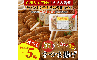 さつま揚げ 8種 計約5kg （各1パック × 8種） ＆ 「チャンポン焼きそばの具 （100g）」 の バラエティセット ／ レシピ付き 蒲鉾 かまぼこ 練り物 具 具材 ちゃんぽん チャンポン 焼きそば 加工品 料理 セット 冷蔵 九州 福岡県 柳川市