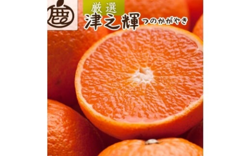 ［先行予約］厳選 津之輝10kg+250g（傷み補償分）［つのかがやき］［せとかに似た柑橘］［光センサー選果］［IKE272］ 2276880 - 和歌山県上富田町