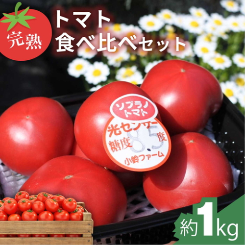 完熟トマト食べ比べセット約1kg 3種類のトマト 美味しさ選別 ｜とまと トマト 減農薬 野菜 やさい 人気 新鮮 産地直送 直売 フルーツトマト 甘い 高糖度 完熟 リコピン ビタミン ダイエット 美容 美肌 愛知県 美浜町 ※2026年1月上旬～5月下旬頃に順次発送 2277063 - 愛知県美浜町