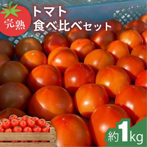 完熟トマト食べ比べセット約1kg 3種類のトマト 美味しさ選別 ｜とまと トマト 減農薬 野菜 やさい 人気 新鮮 産地直送 直売 甘い 高糖度 完熟 リコピン ビタミン ダイエット 美容 美肌 愛知県 美浜町 ※2026年1月上旬～5月下旬頃に順次発送 2277063 - 愛知県美浜町