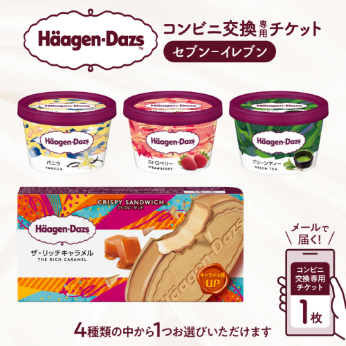 【メールで届く】ハーゲンダッツ アイスクリーム『コンビニ交換専用チケット　1個交換（セブン-イレブン）』_H-svgift101 2277180 - 北海道浜中町