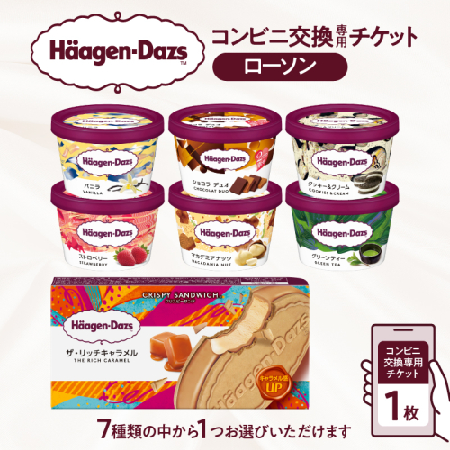 ハーゲンダッツ アイスクリーム『コンビニ交換専用チケット（ローソン）』_H-rogift001 2277187 - 北海道浜中町