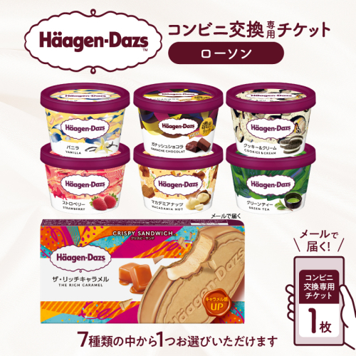 【メールで届く】ハーゲンダッツ アイスクリーム『コンビニ交換専用チケット　1個交換（ローソン）』_H-rogift101 2277187 - 北海道浜中町