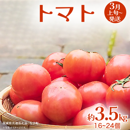 トマト 約3.5kg (16～24個)【2026年3月上旬発送開始】(茨城県共通返礼品：大子町) とまと 野菜 やさい 2277189 - 茨城県牛久市