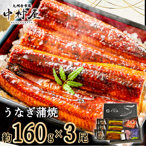 FM063_伝統酵母　うなぎの蒲焼　　千栗　国産160g×3 2277270 - 佐賀県みやき町