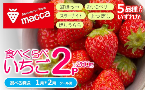 「ひょうご推奨ブランド」認証「西脇市産いちご食べくらべセット」（1箱2パック）～いちご畑macca～（06-39） 2277285 - 兵庫県西脇市