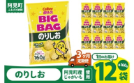 【3ヶ月定期便】カルビー ポテトチップス のりしお BIGBAG（160g）×12個｜Calbee お菓子 菓子 おやつ おかし ぽてち ポテチ スナック おつまみ ジャガイモ じゃがいも（93-62）