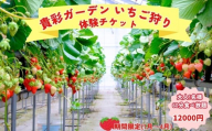 【栽培期間中農薬不使用】貴彩ガーデンいちご狩り体験チケット　