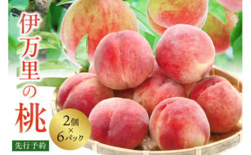 【先行予約】伊万里の桃 2個×6パック B123