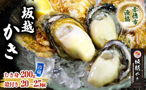amazon 牡蠣 坂越かき 殻付き ＋ むき身 セット 殻付き20個～25個 むき身200g 牡蠣ナイフ付き 冬牡蠣 かき カキ 2277786 - 兵庫県赤穂市