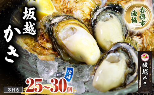 amazon 牡蠣 坂越かき 殻付き (25個～30個) 牡蠣ナイフ付き 冬牡蠣 かき カキ 2277787 - 兵庫県赤穂市