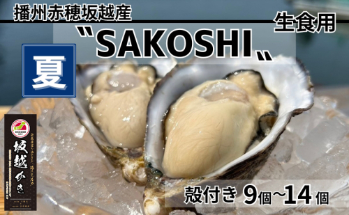 amazon牡蠣 SAKOSHI 生食用 殻付き 9個～14個 牡蠣ナイフ付き [ 坂越かき プレミアム 生牡蠣 夏牡蠣 かき カキ 三倍体 ] 2277793 - 兵庫県赤穂市