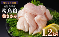 桜島鶏ささみ(特製ブライン液仕込み・下味付き) 小分けパック 1.2kg(4パック)