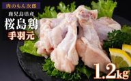 桜島鶏手羽元(特製ブライン液仕込み・下味付き) 小分けパック 1.2kg(4パック)