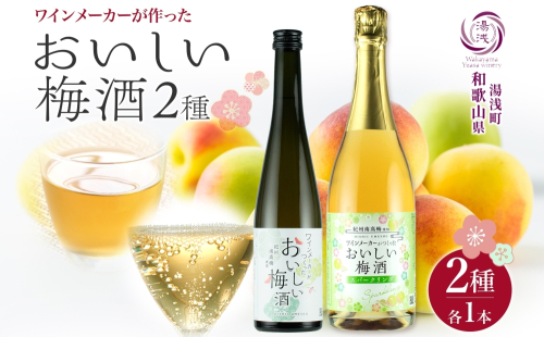 KG1009_湯浅ワイナリー おいしい梅酒2種セット 各1本 計2本 2278170 - 和歌山県湯浅町