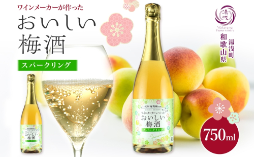 KG1015_ワインメーカーが作ったおいしい梅酒 スパークリング 紀州南高梅 使用 750ml 湯浅ワイナリー 2278176 - 和歌山県湯浅町