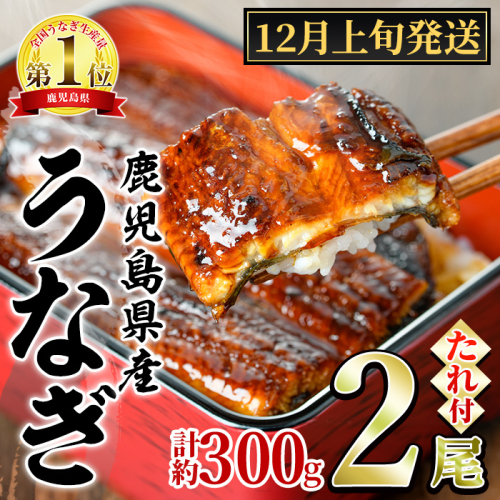 【0124326a-2512】＜12月上旬発送予定＞東串良町のうなぎ蒲焼(無頭)(2尾・計約300g・タレ、山椒付) うなぎ 高級 ウナギ 鰻 国産 蒲焼 蒲焼き たれ 鹿児島 ふるさと 人気 【アクアおおすみ】 2278396 - 鹿児島県東串良町