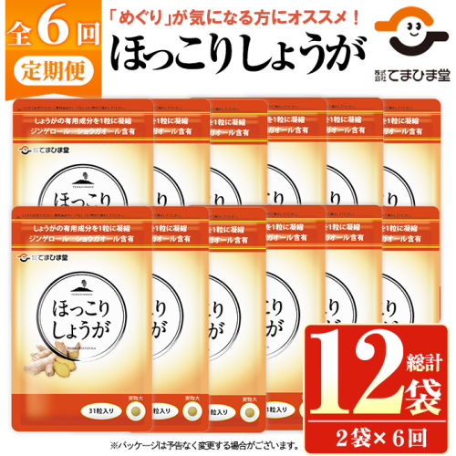 No.1296-B ＜定期便・全6回(隔月)＞ほっこりしょうが(1袋 31粒入り・2袋×6回)  鹿児島 日置市 健康食品 加工食品 サプリメント 栄養 食生活 安心安全 定期便 【てまひま堂】 2278432 - 鹿児島県日置市