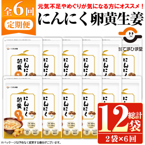 No.1285-B ＜定期便・全6回(隔月)＞てまひま にんにく卵黄生姜(1袋 62粒入り・2袋×6回)  鹿児島 日置市 ニンニク 健康食品 カプセル 生姜 サプリメント 定期便 【てまひま堂】 2278436 - 鹿児島県日置市