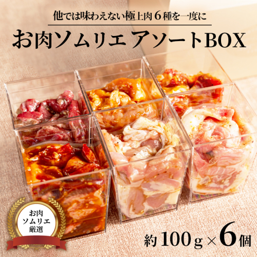 【お肉ソムリエ厳選】 肉アソートBOX 6種詰め合わせ | 焼肉 お肉セット アソートBOX 冷凍おかず 簡単調理 肉ギフト 焼肉セット 時短メニュー おつまみ 詰め合わせ 味付け肉 焼き肉 BBQ 贈答 贈り物 プレゼント 熨斗 2278442 - 京都府舞鶴市