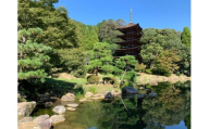 K004 国宝瑠璃光寺五重塔保存修理事業