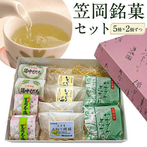 お菓子 笠岡 銘菓 セット 5種 × 2個ずつ 藤屋菓子舗 《30日以内に出荷予定(土日祝除く)》岡山県 笠岡市 お菓子 和菓子 饅頭 最中 詰め合わせ スイーツ 2279220 - 岡山県笠岡市