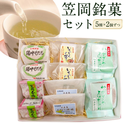 お菓子 笠岡 銘菓 セット 5種 × 2個ずつ 藤屋菓子舗 《30日以内に出荷予定(土日祝除く)》岡山県 笠岡市 お菓子 和菓子 饅頭 最中 詰め合わせ スイーツ 2279220 - 岡山県笠岡市