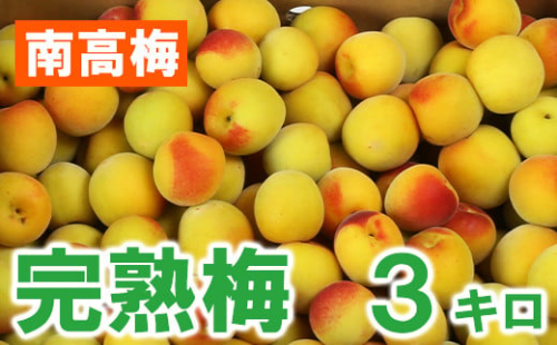 ひらそ農園の完熟梅 3kg 梅 南高梅 完熟梅 梅干し 梅干 梅干し用 梅酒  梅シロップ 梅ジャム 3キロ 数量限定 先行予約 6月 ＜004-008＞