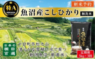[無洗米][令和7年産新米予約][3か月定期便]10月発送開始[食味鑑定士厳選]日本棚田百選・十日町(魚沼)産こしひかり 5kg全3回