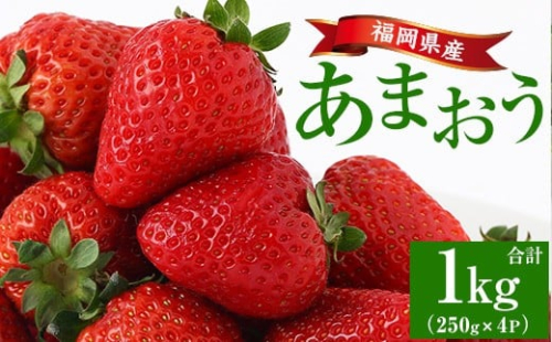＜2026年2月上旬より順次発送予定＞福岡県産 あまおう (計1kg・250g×4P) いちご イチゴ 苺 ストロベリー 果物 フルーツ おやつ デザート 1000g 4パック 冷蔵【錦屋商事】as48-001