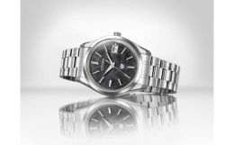 【ふるさと納税】【CITIZEN時計】THE CITIZEN AQ4100-57E