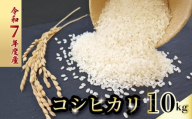 令和7年度 コシヒカリ 10キロ 数量限定 米 コメ 減農薬栽培 お米 精米 早場米 新米 ご飯 おにぎり こめ 白米 低化学肥料 高知県 南国市