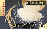【お米定期便】 【12回】 令和7年度 コシヒカリ 数量限定 各5キロ 米 コメ 減農薬栽培 お米 精米 早場米 新米 ご飯 おにぎり こめ 白米 低化学肥料 高知県 南国市