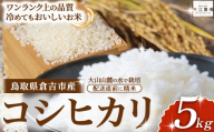 ※10月配送分[令和7産米]倉吉市産 コシヒカリ 5kg ( 大江農場 数量限定 令和7年産米 精米 お米 米 こめ コメ 白米 こしひかり コシヒカリ ブランド米 )