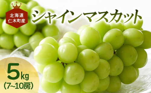 [先行受付] 北海道 仁木町産 シャインマスカット 7～10房 5kg 果物 ぶどう フルーツ 果物類 ブドウ マスカット [JA新おたる] 2281567 - 北海道仁木町