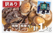 【訳あり】【11月上旬〜3月下旬】菌床しいたけ・生きくらげセット 計1kg　政木農園 肉厚 椎茸 シイタケ キクラゲ 飛騨  簡易包装 syun183