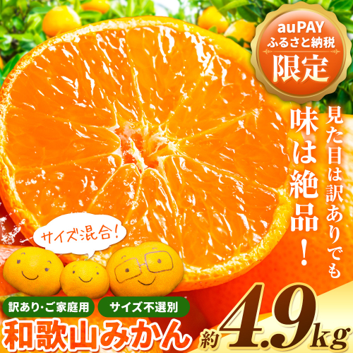【auPAYふるさと納税限定】【数量限定】和歌山県産 訳あり みかん (3S～3L) 約4.9kg《11月上旬-12月上旬頃出荷》和歌山県 日高川町 柑橘類 柑橘 果物 フルーツ ミカン 訳ありみかん 家庭用 お試し みかん 2281998 - 和歌山県日高川町