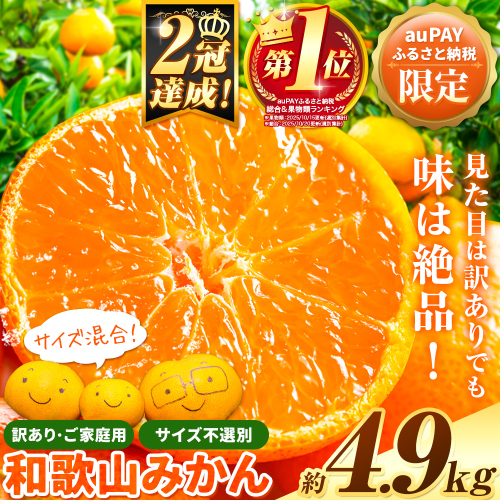 【auPAYふるさと納税限定】総合ランキング１位!!!  訳ありみかん (3S～3L) 約4.9kg《11月上旬-12月末頃出荷》和歌山県 日高川町 柑橘類 柑橘 果物 フルーツ ミカン 訳ありみかん 家庭用 お試し みかん 2281998 - 和歌山県日高川町