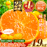 【auPAYふるさと納税限定】総合ランキング１位!!!  訳ありみかん (3S～3L) 約4.9kg《11月上旬-12月末頃出荷》和歌山県 日高川町 柑橘類 柑橘 果物 フルーツ ミカン 訳ありみかん 家庭用 お試し みかん