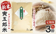 [3か月定期便][令和7年産 新米]三ヶ所米の寅五郎米コシヒカリ 2kg| お米 米 ご家庭用 家庭用 自分用 おすそ分け 寅五郎米 コシヒカリ こしひかり 精米 白米 白飯 白ご飯 棚田 おむすび おにぎり お弁当 炭水化物 主食 お取り寄せ グルメ 普段使い 定期便 |_Tk019-t033
