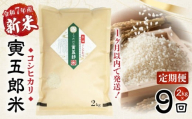【9か月定期便】【令和7年産 新米】三ヶ所米の寅五郎米コシヒカリ 2kg|  お米 米 ご家庭用 家庭用 自分用 おすそ分け 寅五郎米 コシヒカリ こしひかり 精米 白米 白飯 白ご飯 棚田 おむすび おにぎり お弁当 炭水化物 主食 お取り寄せ グルメ 普段使い 定期便 |_Tk019-t035