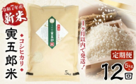 【12か月定期便】【令和7年産 新米】三ヶ所米の寅五郎米コシヒカリ 5kg|  お米 米 ご家庭用 家庭用 自分用 おすそ分け 寅五郎米 コシヒカリ こしひかり 精米 白米 白飯 白ご飯 棚田 おむすび おにぎり お弁当 炭水化物 主食 お取り寄せ グルメ 普段使い 定期便 |_Tk019-t040