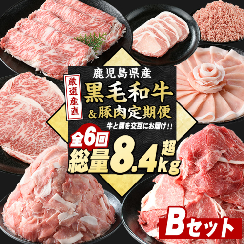 ＜定期便全6回＞黒毛和牛＆豚肉定期便 総重量8.4kg超 赤身 ロース 豚 ミンチ ロースかつ 豚肉 牛肉 切り落とし サーロイン 豚ロース しゃぶしゃぶ すき焼き 【スターゼン】starzen-1535 2282187 - 鹿児島県長島町