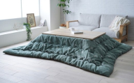 軽くてあったか ハピネスコタツ掛布団 200cm×250cm GN（グリーン） こたつ掛布団 こたつ布団 こたつ コタツ 炬燵 福岡県 柳川市