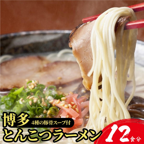 【4種の豚骨スープ】博多とんこつラーメン12食分【本場博多産のスープ】 2282281 - 福岡県篠栗町
